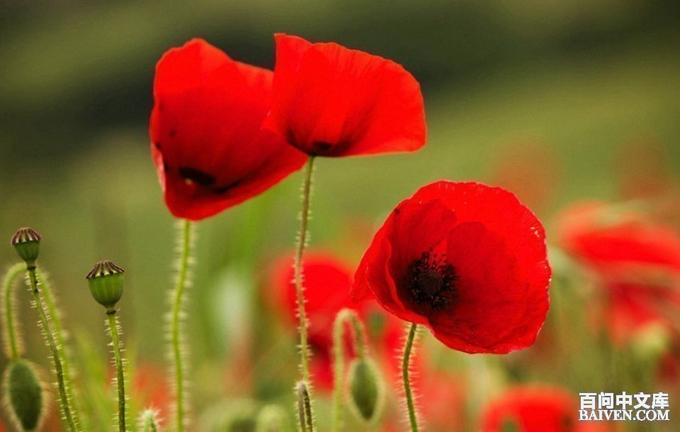 ���ʱ�Ц����Ц����ȫ