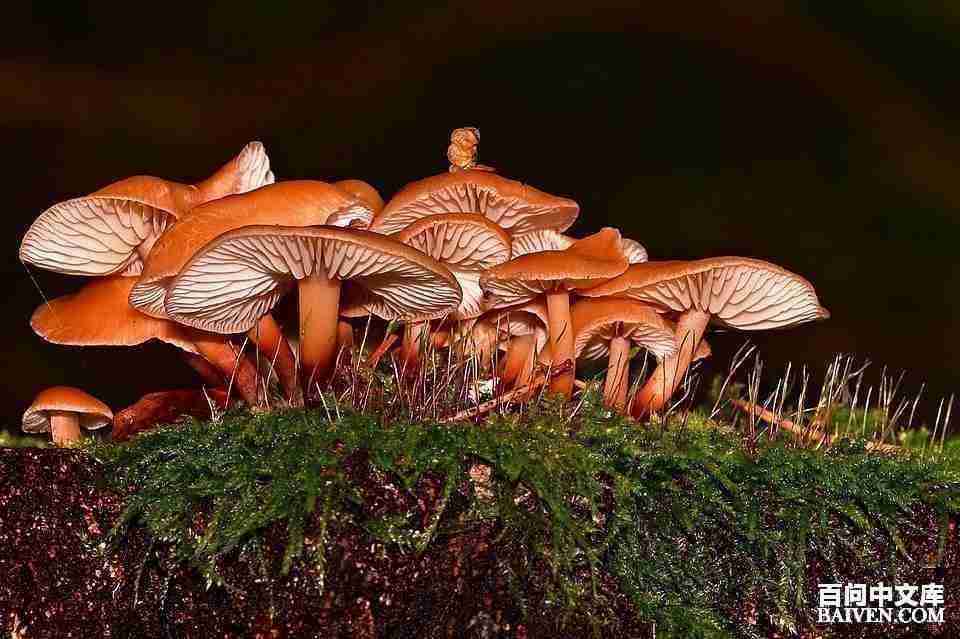 ���ʱ�Ц����Ц����ȫ