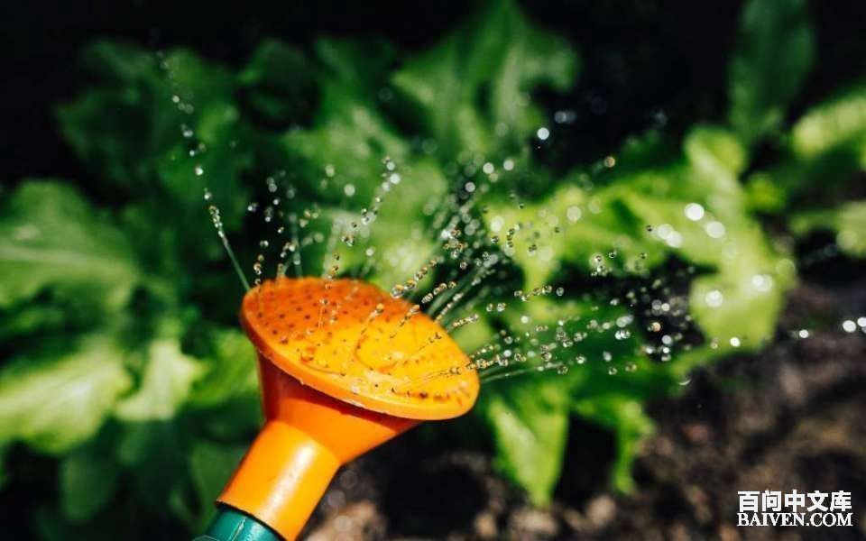 ���ʱ�Ц����Ц����ȫ