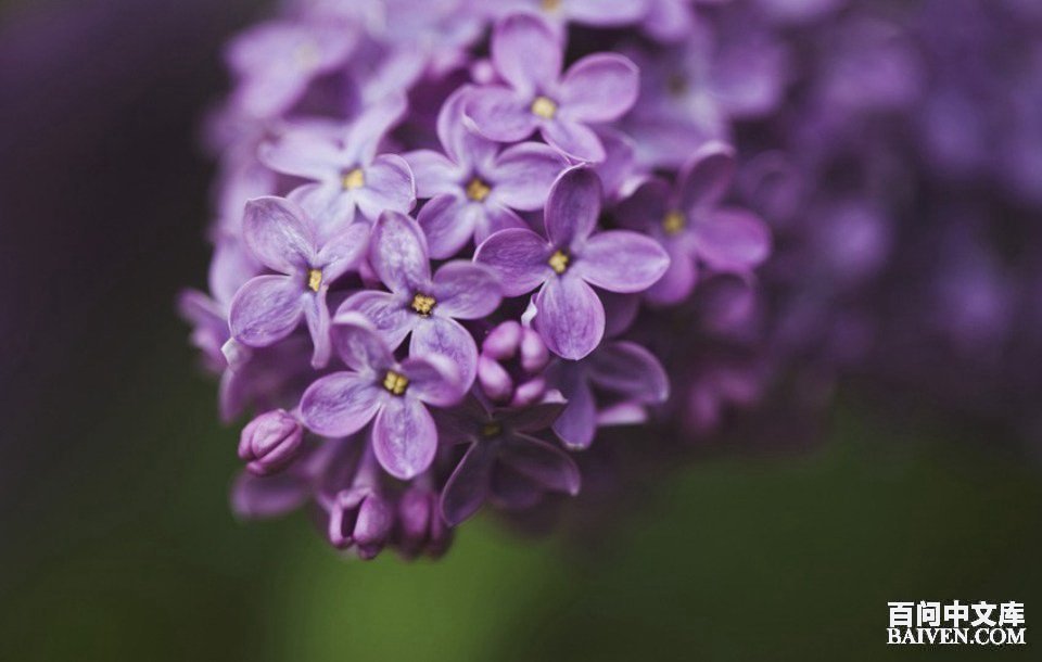 ���ʱ�Ц����Ц����ȫ