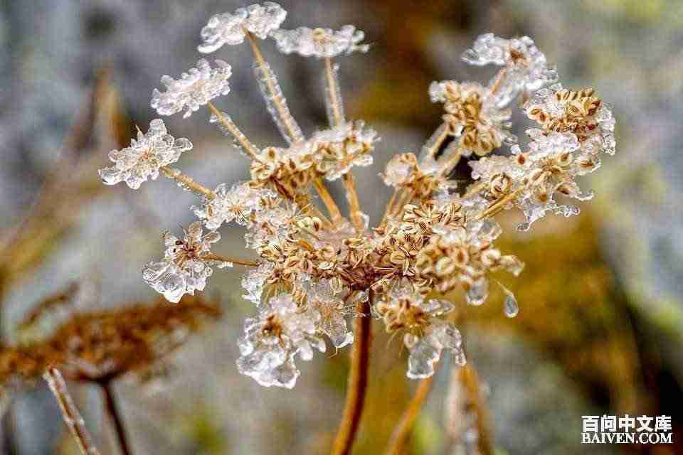 ���ʱ�Ц����Ц����ȫ