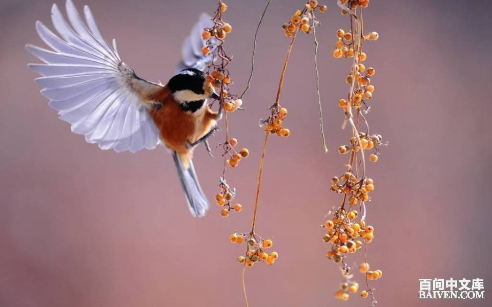 百问爆笑经典笑话大全