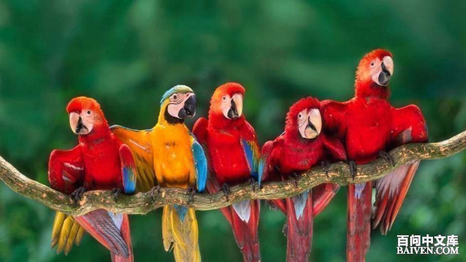 ���ʱ�Ц����Ц����ȫ