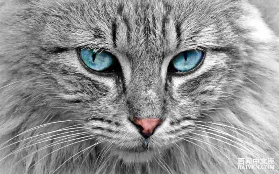 百问爆笑经典笑话大全