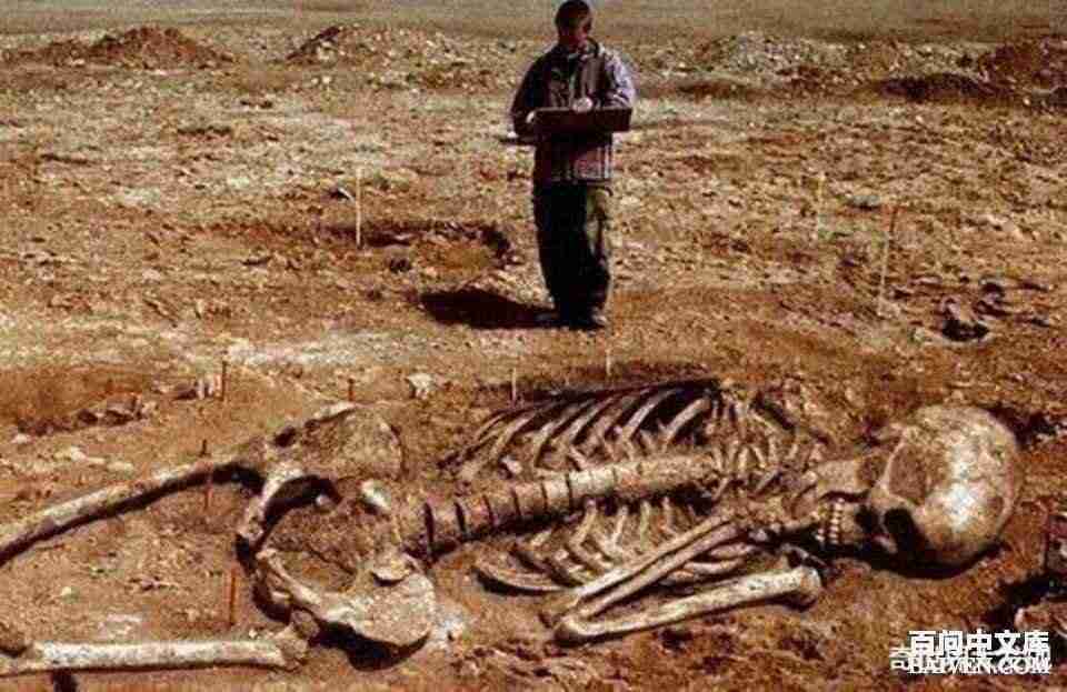 百问爆笑经典笑话大全