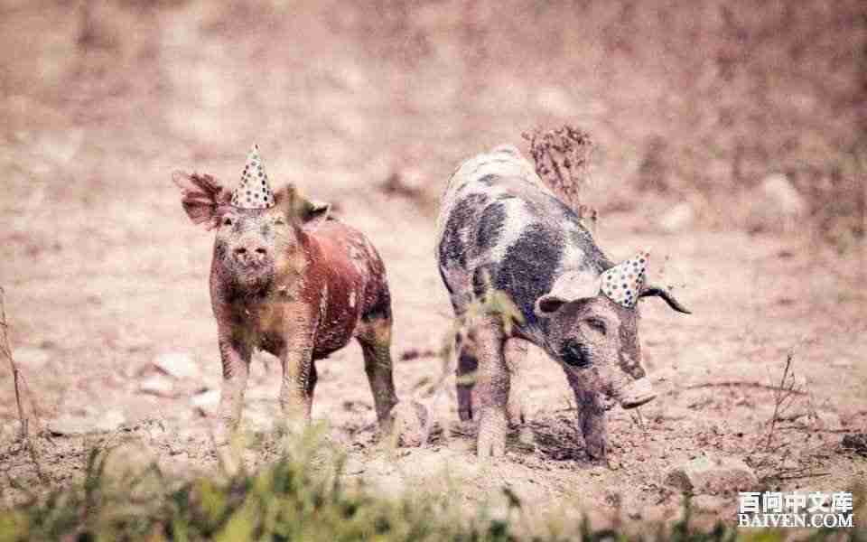 ���ʱ�Ц����Ц����ȫ