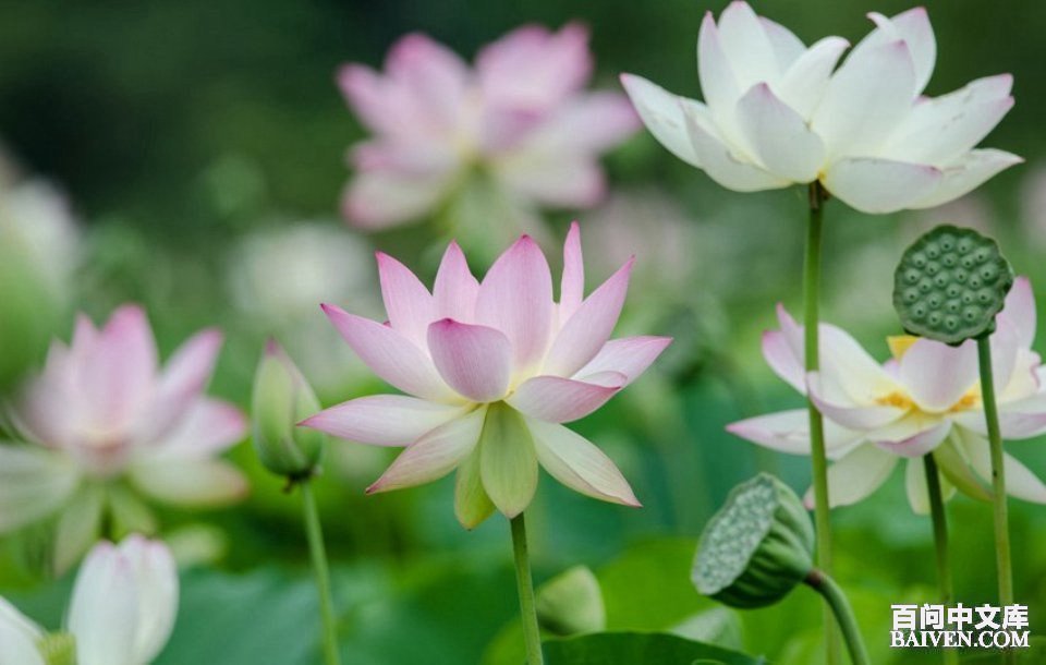 ���ʱ�Ц����Ц����ȫ