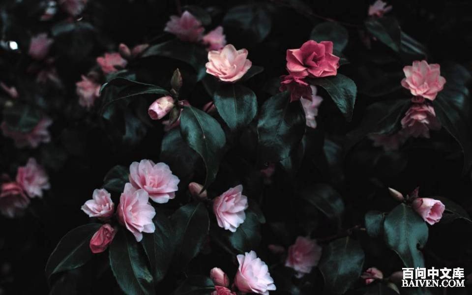 ���ʱ�Ц����Ц����ȫ