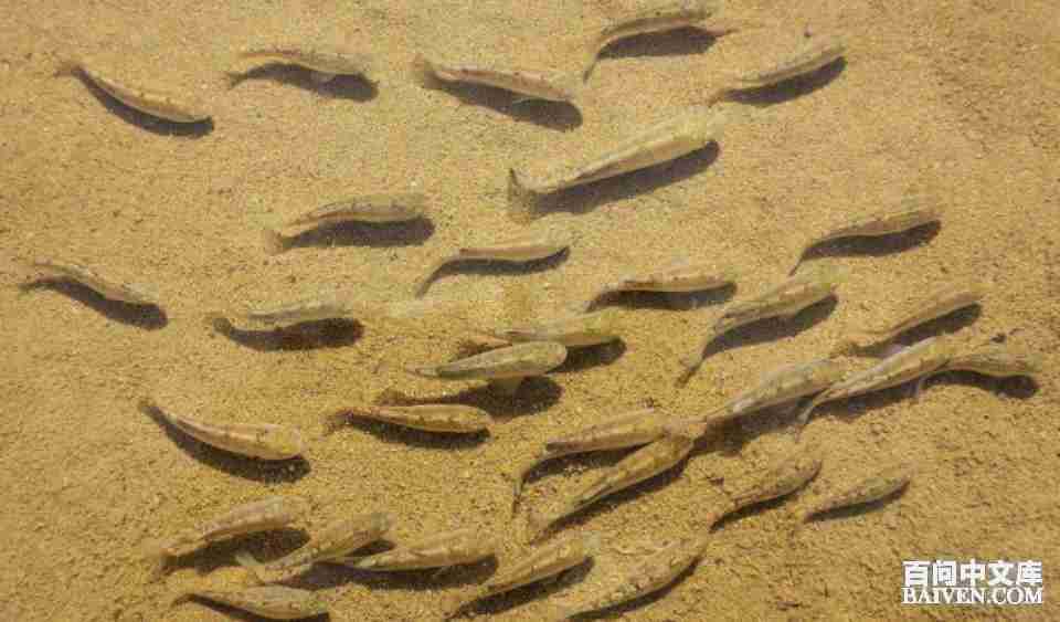 ���ʱ�Ц����Ц����ȫ