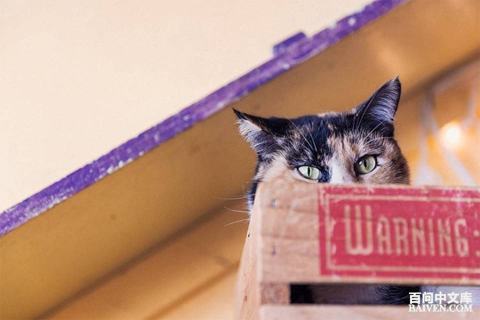 百问爆笑经典笑话大全