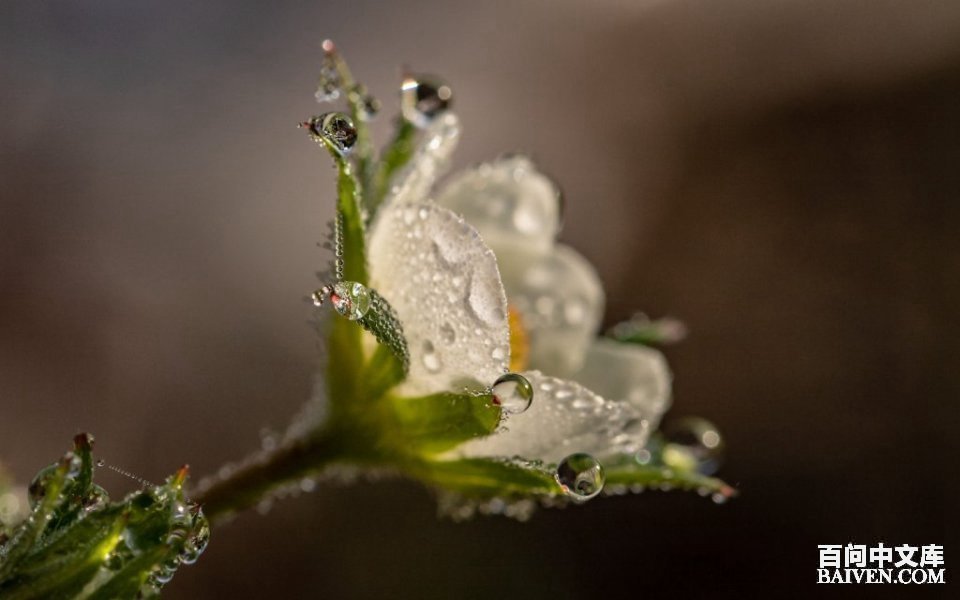 ���ʱ�Ц����Ц����ȫ