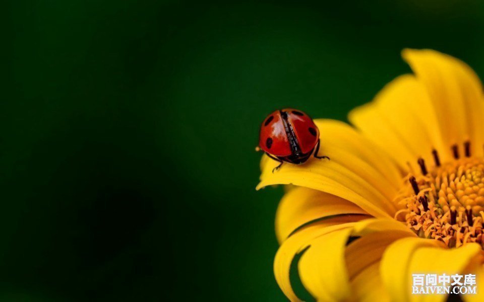 ���ʱ�Ц����Ц����ȫ