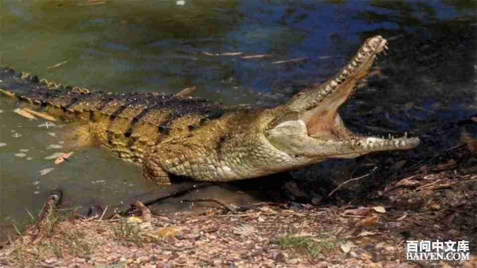 ���ʱ�Ц����Ц����ȫ