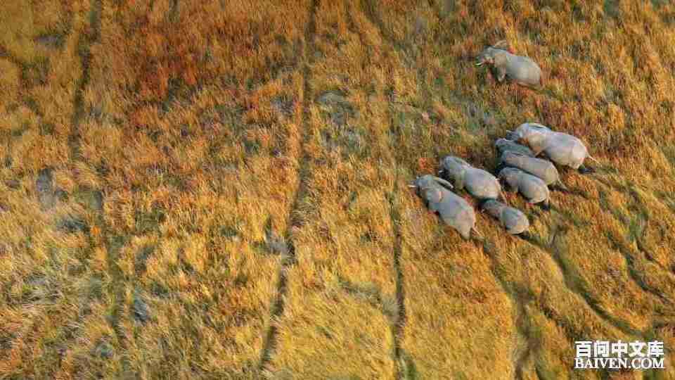 ���ʱ�Ц����Ц����ȫ