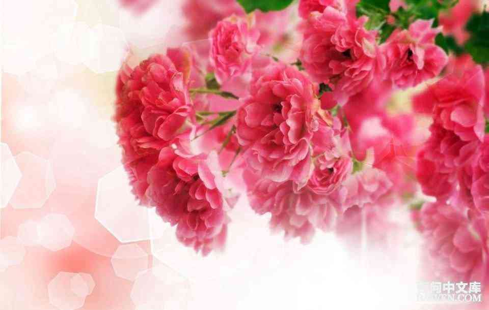 ���ʱ�Ц����Ц����ȫ