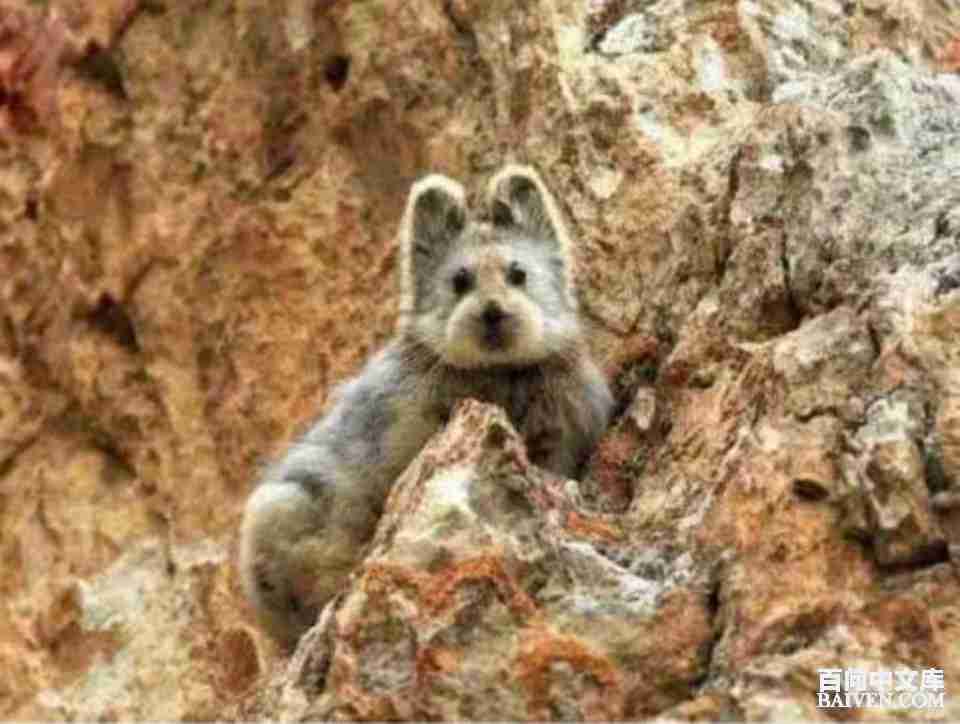 百问爆笑经典笑话大全