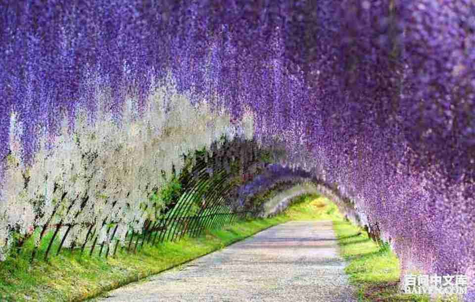 ���ʱ�Ц����Ц����ȫ