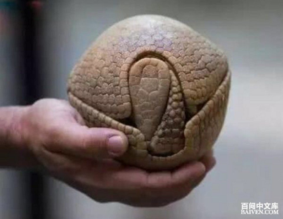 百问爆笑经典笑话大全