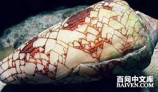 百问爆笑经典笑话大全