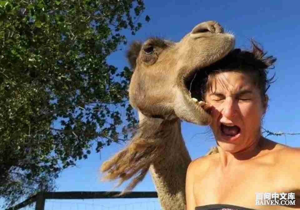 ���ʱ�Ц����Ц����ȫ