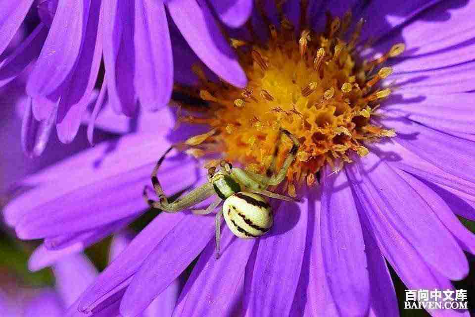 ���ʱ�Ц����Ц����ȫ