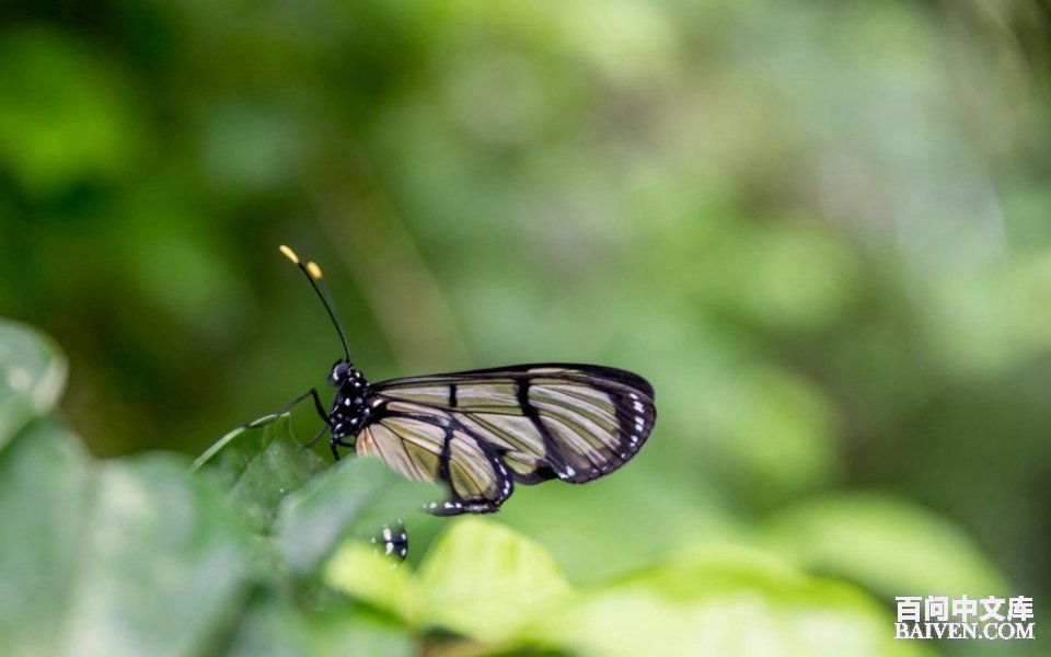 ���ʱ�Ц����Ц����ȫ