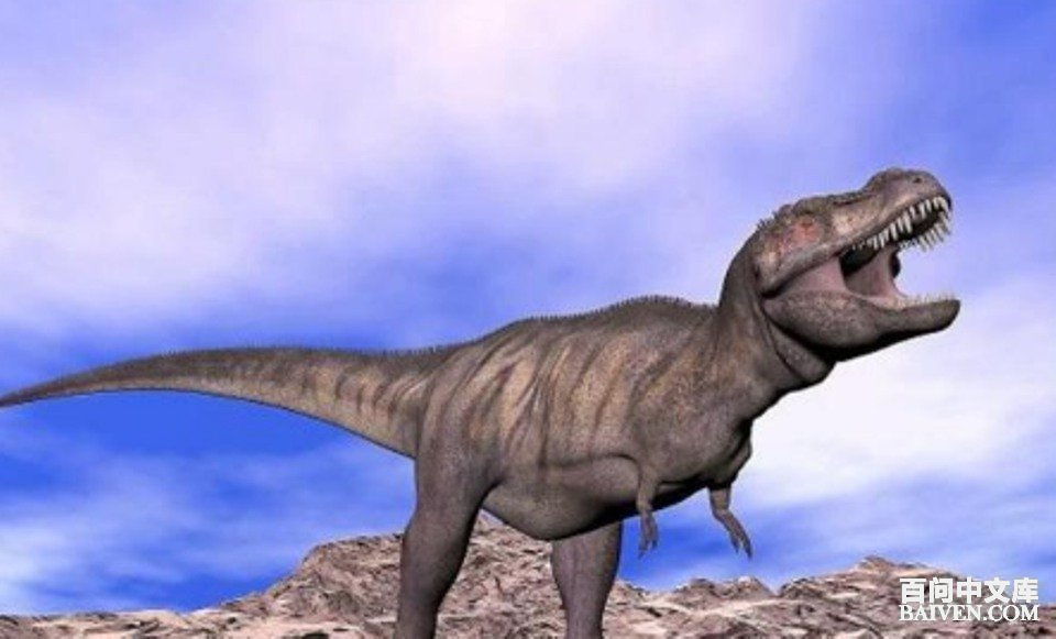 百问爆笑经典笑话大全