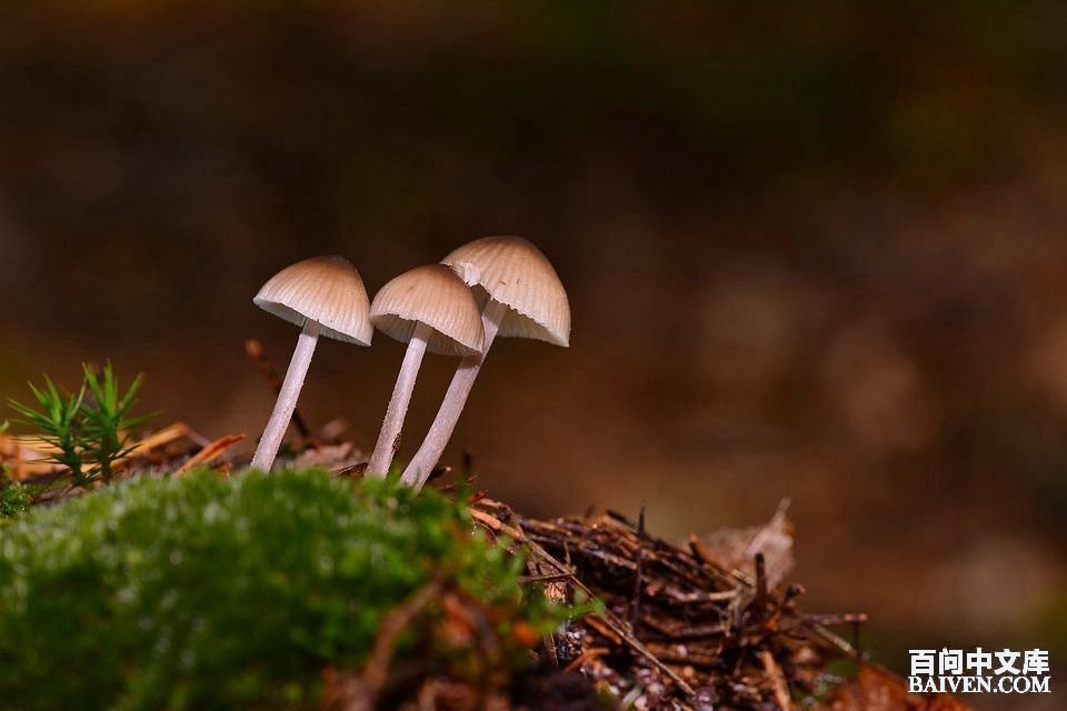 ���ʱ�Ц����Ц����ȫ