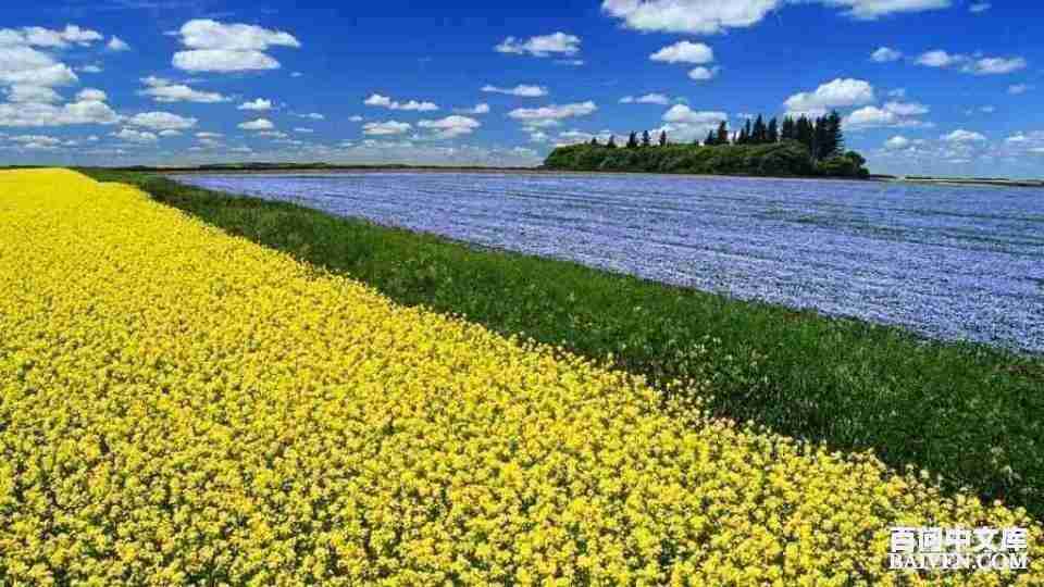 ���ʱ�Ц����Ц����ȫ