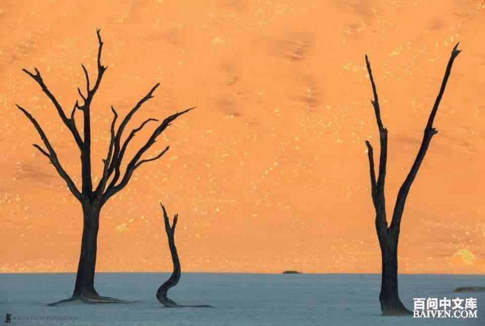 ���ʱ�Ц����Ц����ȫ