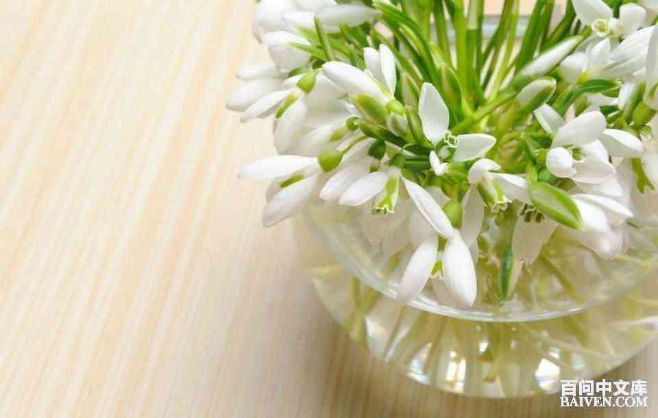 ���ʱ�Ц����Ц����ȫ