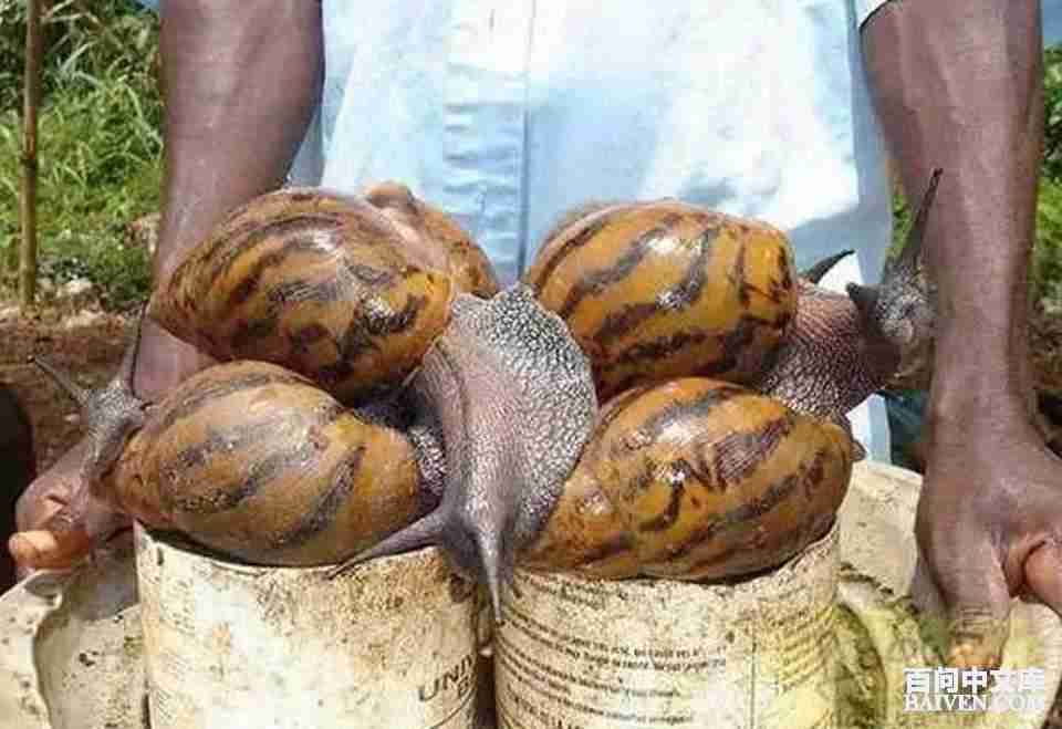 百问爆笑经典笑话大全