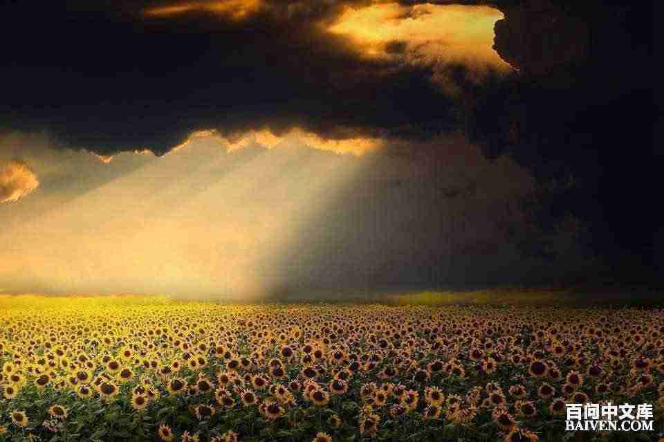 百问爆笑经典笑话大全