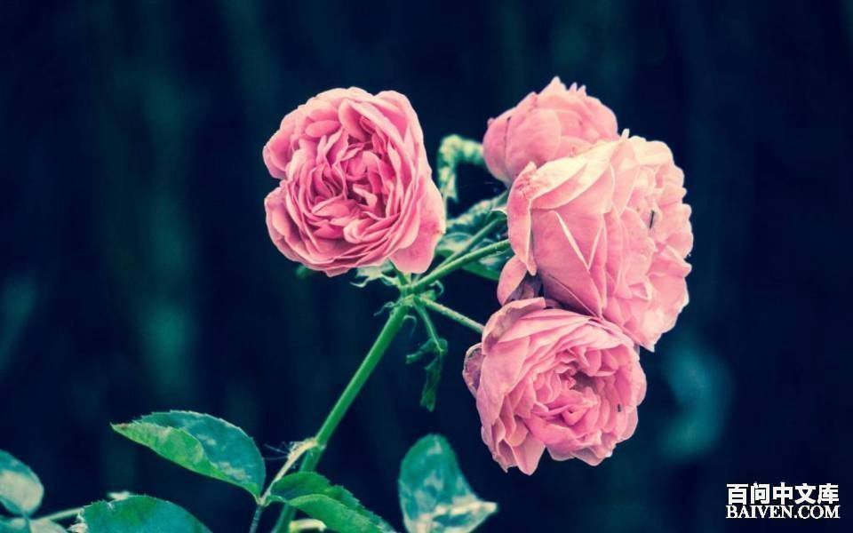 ���ʱ�Ц����Ц����ȫ