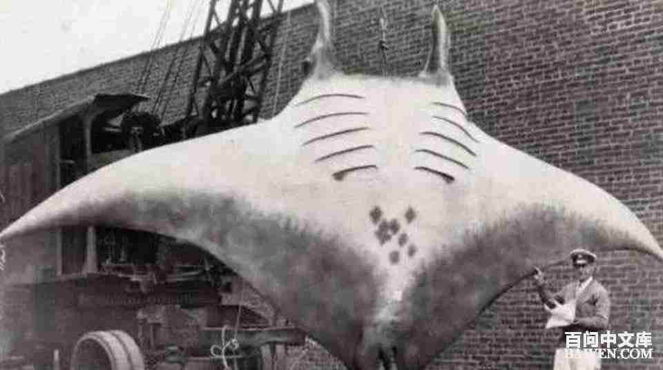 ���ʱ�Ц����Ц����ȫ