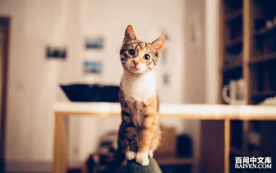 ���ʱ�Ц����Ц����ȫ