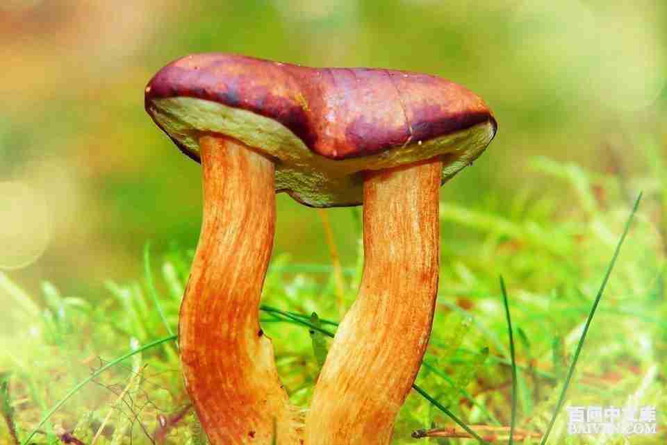 ���ʱ�Ц����Ц����ȫ