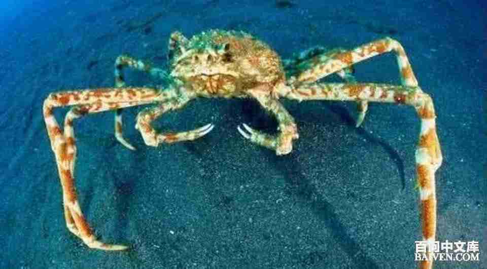 ���ʱ�Ц����Ц����ȫ