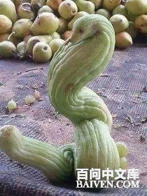 百问爆笑经典笑话大全