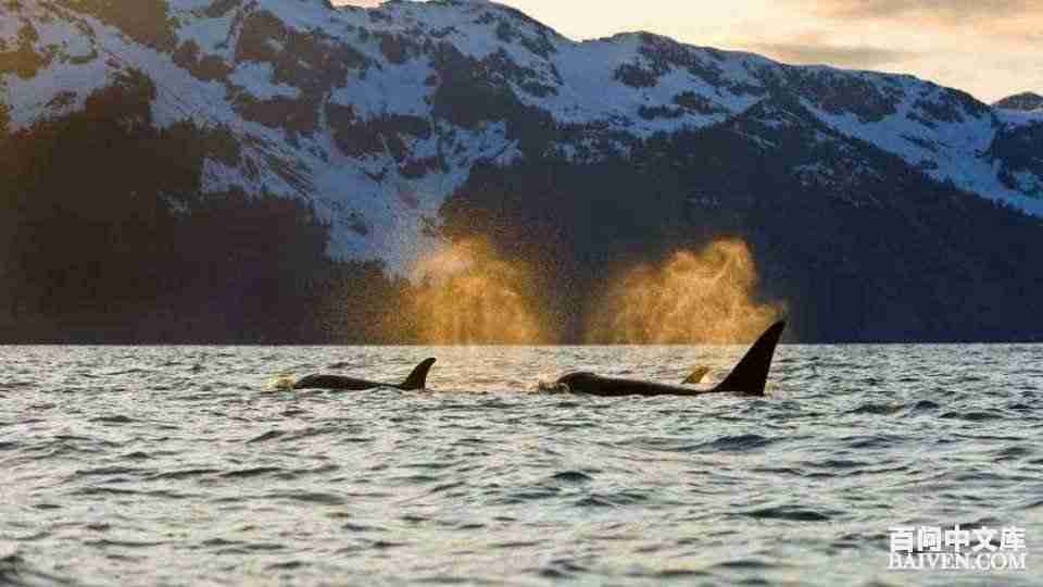 ���ʱ�Ц����Ц����ȫ