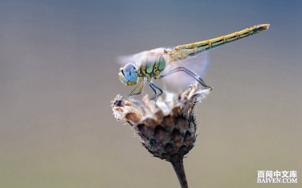 ���ʱ�Ц����Ц����ȫ