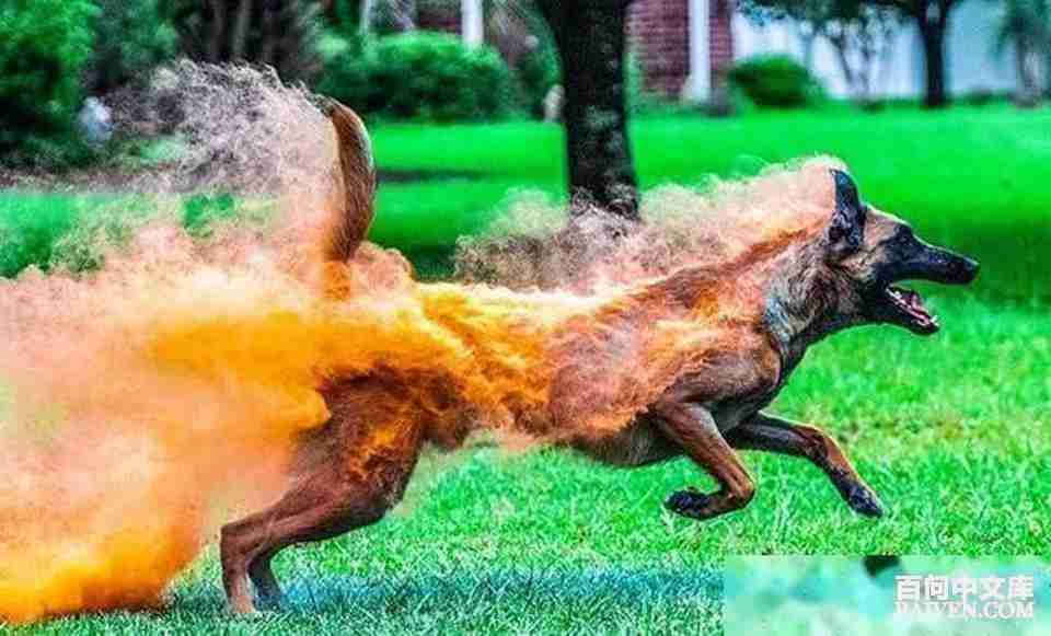 ���ʱ�Ц����Ц����ȫ