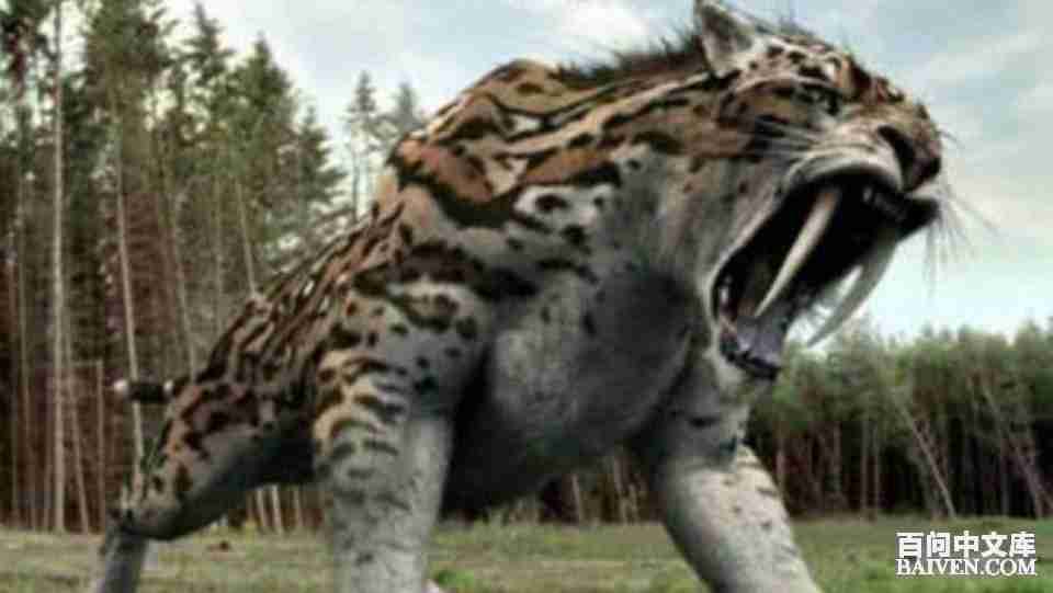 ���ʱ�Ц����Ц����ȫ