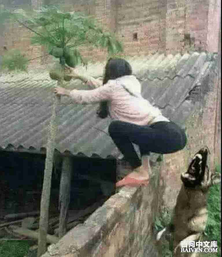 百问爆笑经典笑话大全