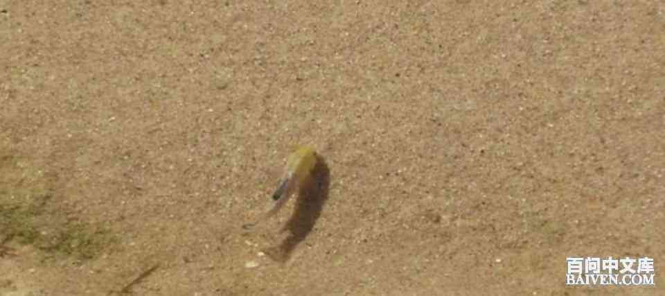 百问爆笑经典笑话大全