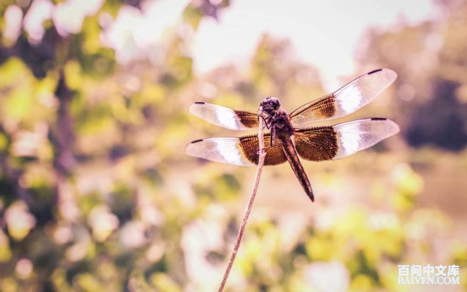 ���ʱ�Ц����Ц����ȫ