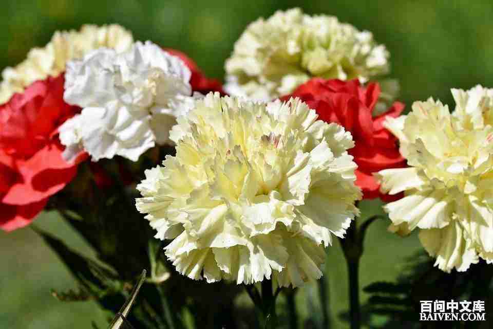 ���ʱ�Ц����Ц����ȫ