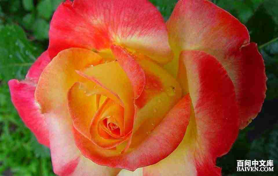 ���ʱ�Ц����Ц����ȫ