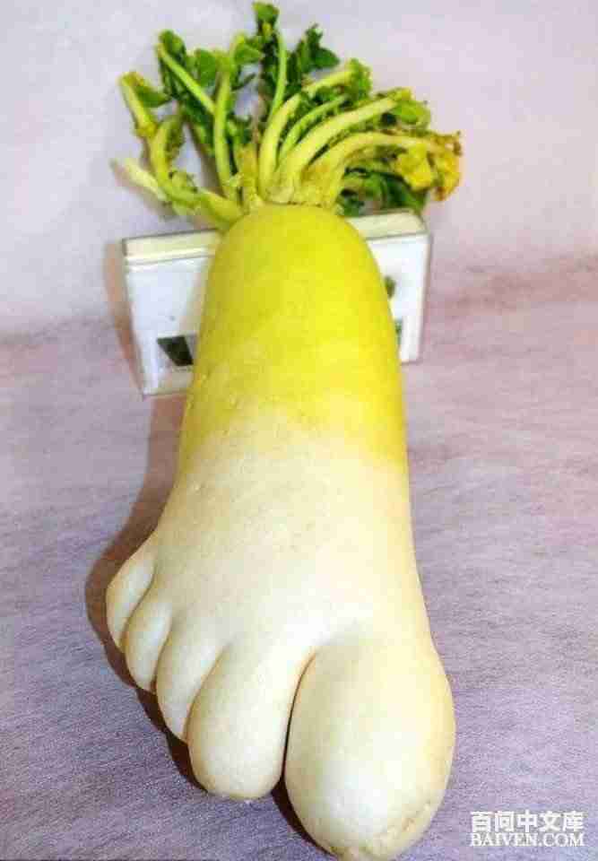 ���ʱ�Ц����Ц����ȫ