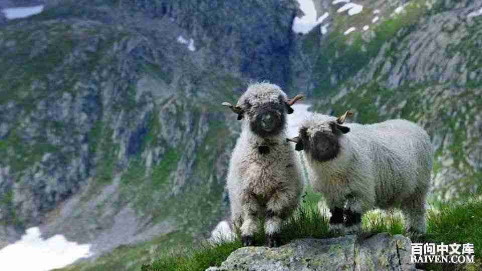 ���ʱ�Ц����Ц����ȫ